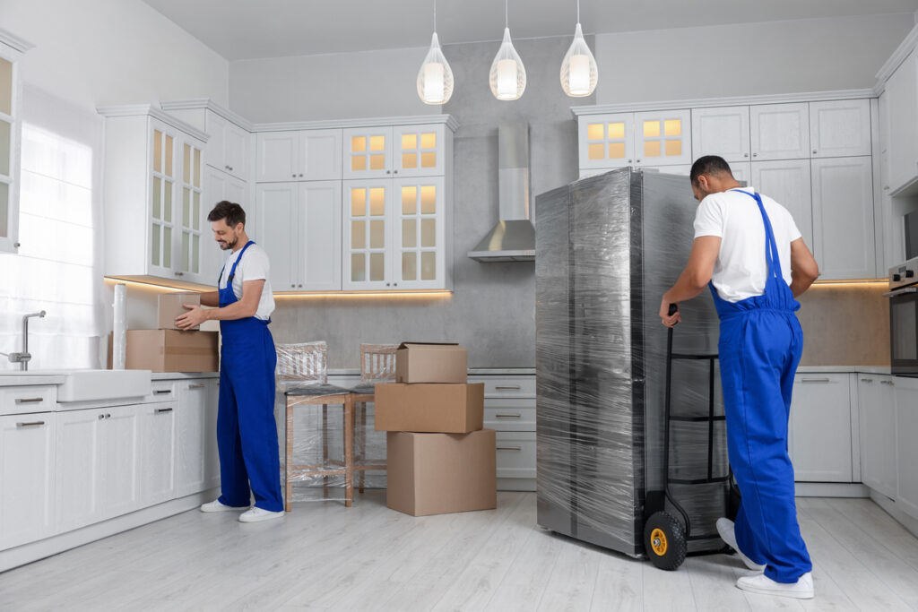 Move-In and Out Cleaning Services