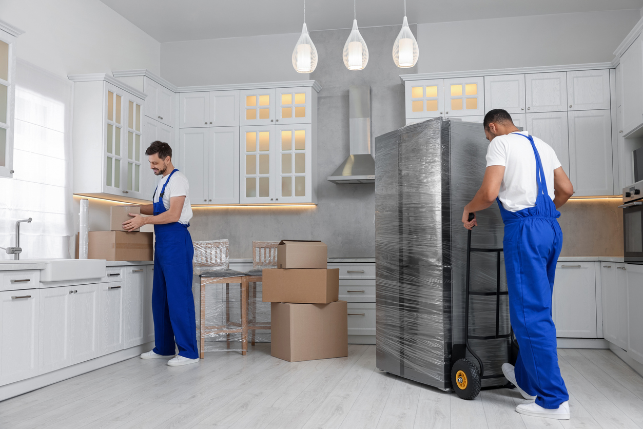 Move-In and Out Cleaning Services