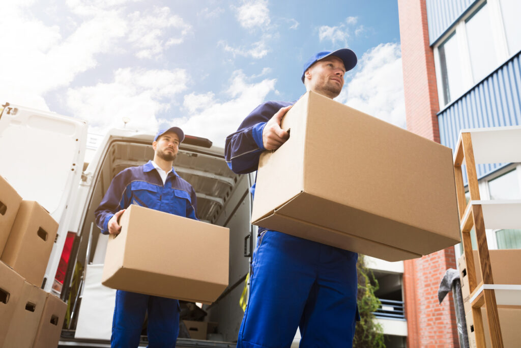 moving and storage service
