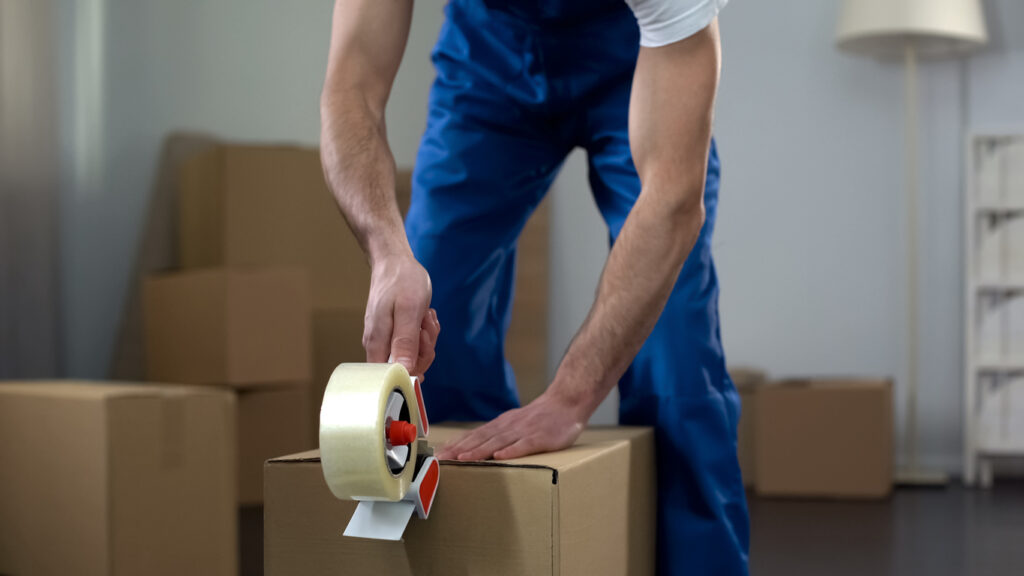 professional packing service