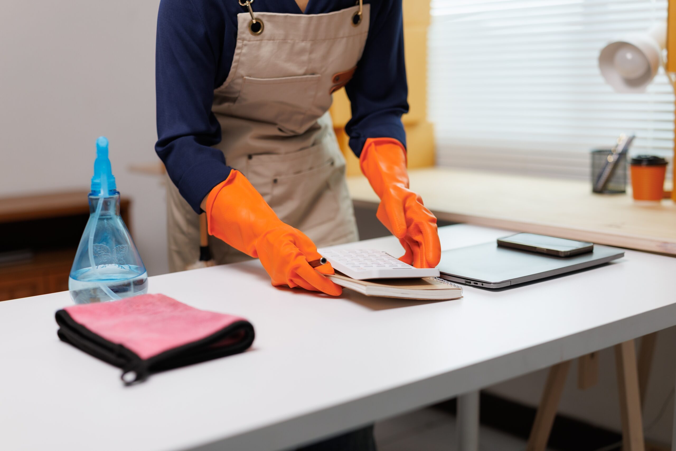 move in cleaning